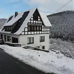 Holiday home Kurhaus Am Nordenau - 10 Pers