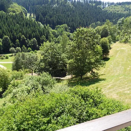 Kurhaus Am Nordenau - 10 Pers Сasa de vacaciones