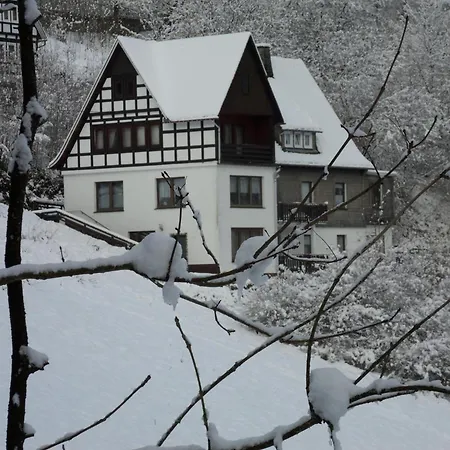 Kurhaus Am Nordenau - 10 Pers Сasa de vacaciones Schmallenberg