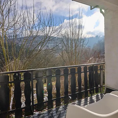 Holiday home Kurhaus Am Nordenau - 10 Pers *