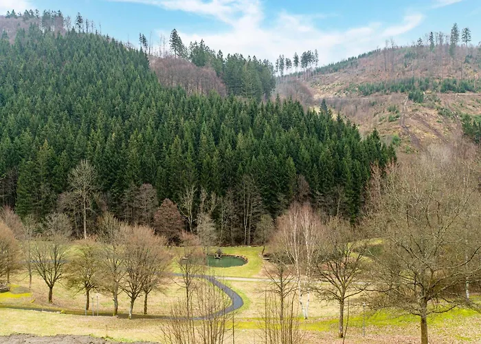 Ferienhaus Kurhaus Am Nordenau - 10 Pers *