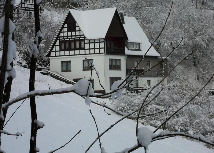 Kurhaus Am Nordenau - 10 Pers Ferienhaus Schmallenberg
