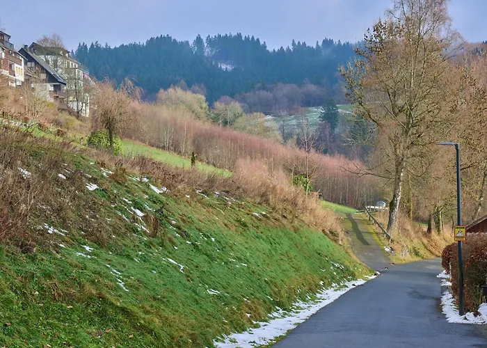 Kurhaus Am Nordenau - 10 Pers * Schmallenberg